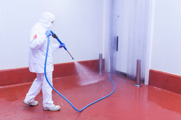 Best Boat and Dock Cleaning  in Shamokin, PA