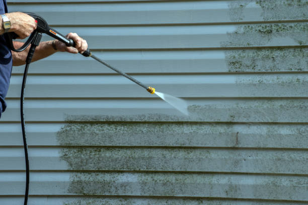 Best Gutter Cleaning  in Shamokin, PA